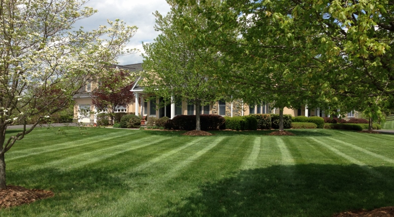 manicure lawn maintenance