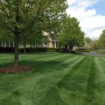 Lawning Mowing Services  - Earth Effects Landscaping - Marshall, Virginia