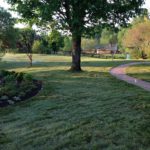 Fresh Laid Sod - Earth Effects Landscaping - Marshall, Virginia