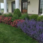 Colorful Landscapes - Plant Installation and Design - Earth Effects Landscaping